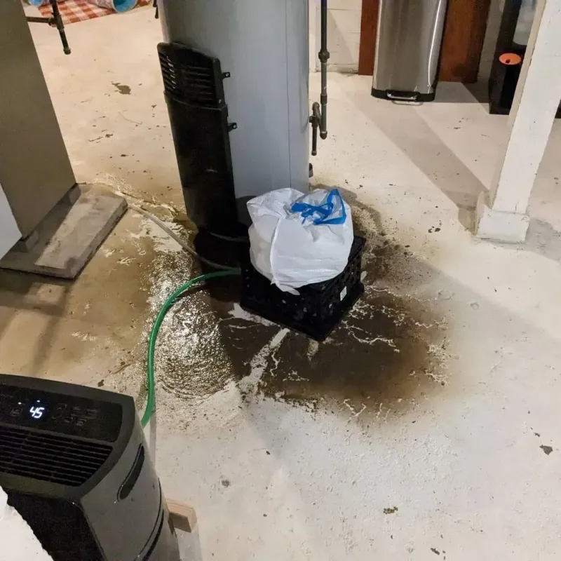 Sewage Backup Cleanup Service in Encanto, AZ